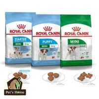 Hạt Royal Canin Mini Adult cho giống chó nhỏ trên 10 tháng tuổi