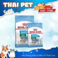 Hạt Royal Canin Mini Starter Mother & Babydog Cho Chó Mẹ & Chó Con Giống Nhỏ