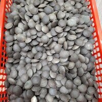 Hạt SaChi - vua của các loại hạt