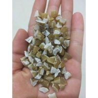 hạt sang, hạt Sành hết dạ dày, đại tràng thảo mộc gia truyền