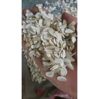 hạt sang. hạt sành .khắc tinh   dạ dạy . HP. đại tràng. tá tràng .