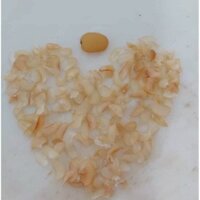 hạt sành dân tộc