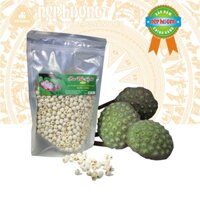 Hạt Sen Bắc Khô – Nếp Hương – 500g đặc sản Hưng Yên