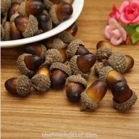 Hạt sồi khô chụp ảnh sản phẩm