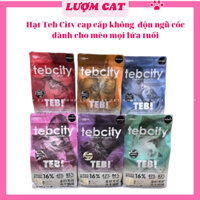 Hạt TebCity (Gói 1kg chiết) mix topping Gà Sấy cho Mèo mọi lứa tuổi, hàm lượng đạm cao,không độn ngũ cốc