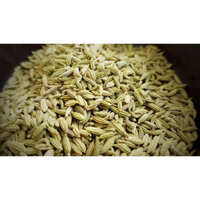 hạt thì là 500g -1kg