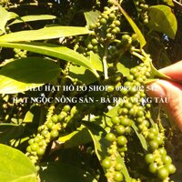 Hạt tiêu đen Hồ Lô Shop - Nông sản Bà Rịa Vũng Tàu (nguyên hạt) 200 gram