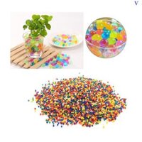 Hạt Tinh Thể Trồng Cây