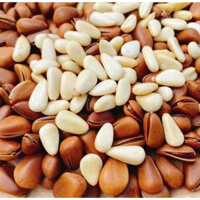 [HẠT TO VIP] Hạt thông Mỹ 500g ngon_ANFOOD