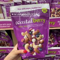 Hạt tổng hợp  Coastal Berry  737g Mỹ