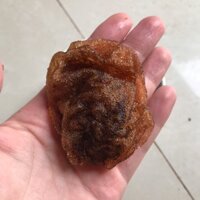 Hạt ươi bay chuẩn 500g