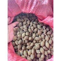 hạt ươi bay kon tum