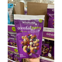 Hạt và trái cây sấy tổng hợp date 2025 Wildroots Coastal Berry Trail Mix - EDS Mart