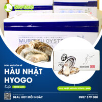 Hàu Nhật Nhập Khẩu Nhật Bản Siêu Béo Ngậy Size 6-8 Con/Kg [Giao nhanh HCM]