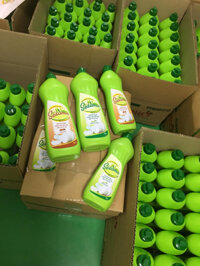 Hãy cùng tìm hiểu nước rửa chén thảo dược Organic là gì? Và tại sao nó lại trở thành xu hướng.