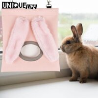 Hay Feeder Guinea Pig Hay Feeder Sack cho Bunny Chinchilla Guinea Pig