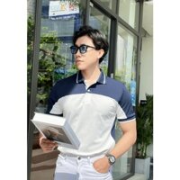 (HCM) Áo thun POLO phối màu tay ngắn thời trang nam , nam tính hàn quốc tôn dáng cho các anhem HIYU STORE