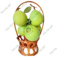 [HCM] COMBO 5 Trái Giả Trái Bưởi Nhỏ (10x12 cm) mô hình Việt Nam công nghệ Thái Lan GIỐNG THẬT 99%- Dùng trang trí