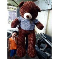 [HCM hỏa tốc 2h]Gấu bông teddy khổ 2m ( nhiều màu)