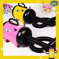 [HCM] - Máy sấy lông chuyên dụng cho chó mèo 2400w - King Market's
