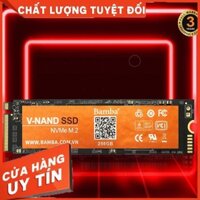 HCM- Ổ CỨNG LAPTOP SSD 256GB BAMBA M2 (NVME) BẢO HÀNH CHÍNH HÃNG 36 THÁNG