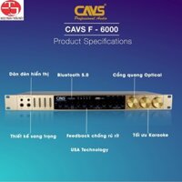 [HCM] Vang Cơ CAVS F6000 Gold năm 2021 - Hàng Chính Hãng