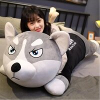 HCM  vip GẤU BÔNG GIÁ RẺ- GẤU BÔNG CHÓ HUSKY KHỔNG LỒ, GỐI ÔM CHÓ NGÁO SIZE 1M5 HÀNG ĐẸP - HÌNH THẬT