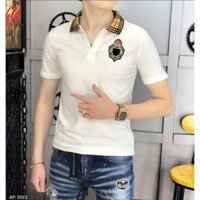 [HCM]Áo Thun Nam Cổ Polo Họa Tiết Caro Phối Logo CPN Cao Cấp