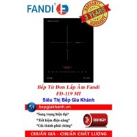 [HCM]Bếp từ đơn lắp âm Fandi FD-119 MI