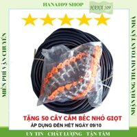 [HCM]Bộ tưới cây nhỏ giọt đơn giản dễ làm cực tiết kiệm sử dụng ống 5 ly chuyên dùng cho tưới cây nhỏ giọt tưới sân thượng tưới lan...