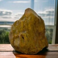 [HCM]CANXEDON VÀNG (7,4Kg)