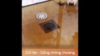 [HCM][Combo 3 Hộp ] Bột Thông Cống Thông Bồn Cầu Mạnh Xử Lý Nhanh Tắc Ngẽn Cầu Nghẹt Lavabo Nghẹt Bồn Rửa Chén Nghẹt. Hộp Lớn 280G