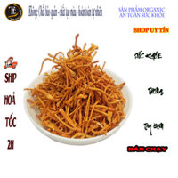 [HCM]Đông trùng hạ thảo (cordyceps militaris) sấy thăng hoa