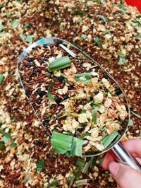 [HCM]trà gạo lức mix loại đậu đỏ đậu đen gạo lức lá dứa lá sen hoa nhài 250 gram_tinhhoatrathaomoc