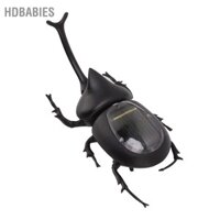 HDbabies Đồ chơi côn trùng chạy bằng năng lượng mặt trời Mô phỏng tiết kiệm Thực tế Trang trí nhà giáo dục hình bọ cánh cứng giả