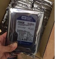 HDD 250g wd