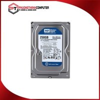 HDD 250GB – WD Blue 3.5″