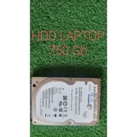 HDD LAPTOP 750 GB ĐANG SỬ DỤNG BÌNH THƯỜNG