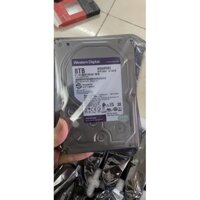 HDD ổ cứng 8Tb wd tím