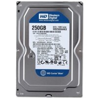 HDD PC WD 250G Blue Dày Công ty