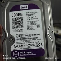 HDD PC WDPurx 500Gb,7200rpm (mới,box)
