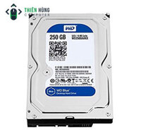 HDD WD 250GB RENEW