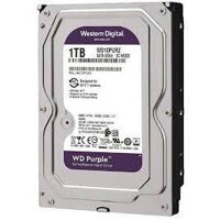 HDD Westen 1TB Tím (Purple) NK, BH 24 tháng