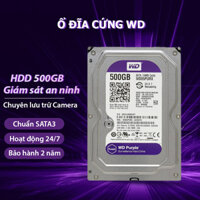 HDD Westen 500GB Tím - Purple NK, BH: 24 tháng