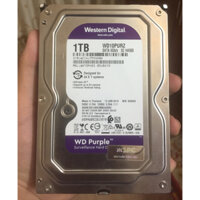 HDD Western Digital Tím 1TB