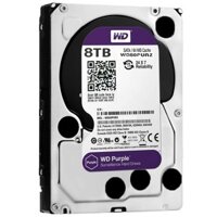 HDD WESTERN PURPLE 8TB WD80PURZ