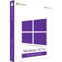 Hệ điều hành Microsoft Windows 10 pro for workstations 64 bit English Intl DSP OEI DVD(HZV-00055)