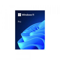Hệ Điều Hành Windows 11 Pro FPP 64-Bit ENG INTL USB (HAV-00163)