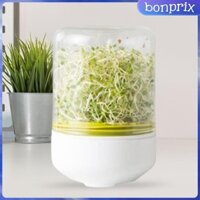 Hệ thống nảy mầm cây đậu Hạt giống mặt bàn cho hạt cỏ dại