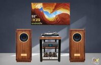 Hệ thống nghe nhạc Hi End Loa Tannoy Turnberry GR-OW -  VPI - Cary Audio